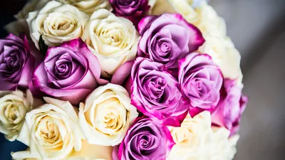 Brautjungfern helfen der Braut - Hochzeitsreportage